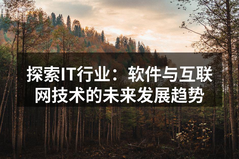 探索IT行业:软件与互联网技术的未来发展