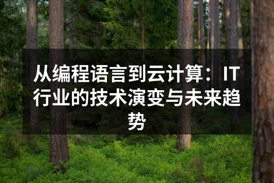 从编程语言到云计算:IT行业的技术演变与