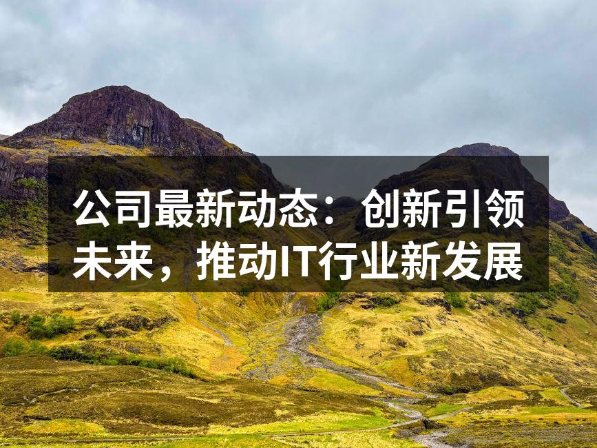 公司最新动态:创新引领未来,推动IT行业