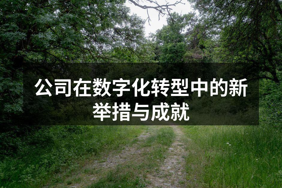 公司在数字化转型中的新举措与成就