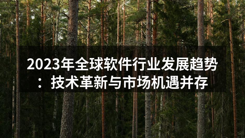 2023年全球软件行业发展趋势:技术革新