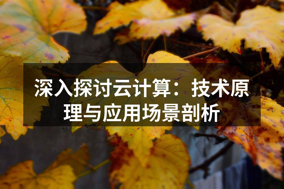 深入探讨云计算:技术原理与应用场景剖析