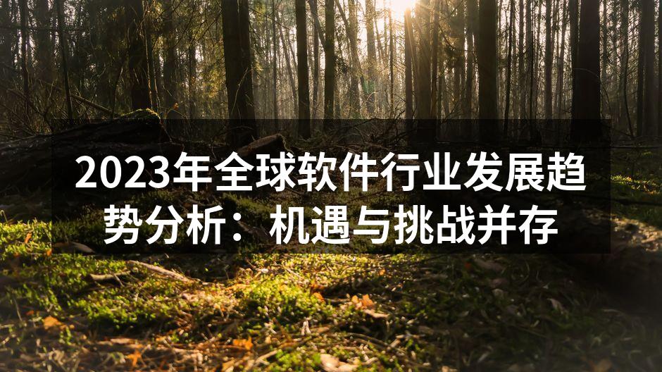 2023年全球软件行业发展趋势分析:机遇与挑战并存
